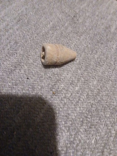 Civil War Bullet Relic from Battle of Fort Donelson, Dover Tennessee