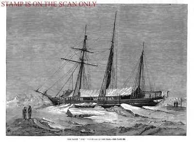 'The Yacht ''Fox'' Wintering in the Pack Ice': Original Antique 1859 Print 701/148