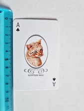 EGYPTIAN MAU CATS CAT CARD RARE CAT 1988 RED ORIGINAL CARD