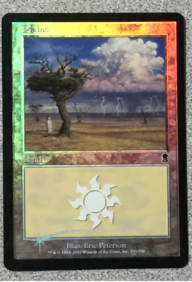 MTG - PLAINS (333) 1X(FOIL) ODYSSEY - BASIC LAND - LP | eBay