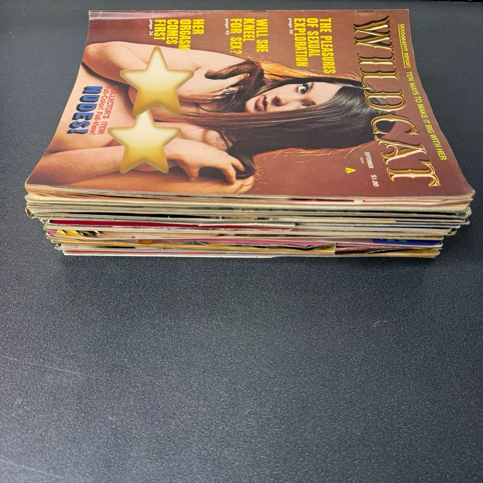 Лот из 22 различных мужских журналов 70-х настольные книги Climax Swingle Gala Sir! - Изображение 4 из 4