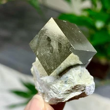 50G  Natural Raw Atone Spanish Pyrete Cubic crystal quartz mineral sample