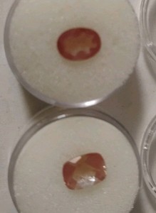 Honey Red Andesine Stone