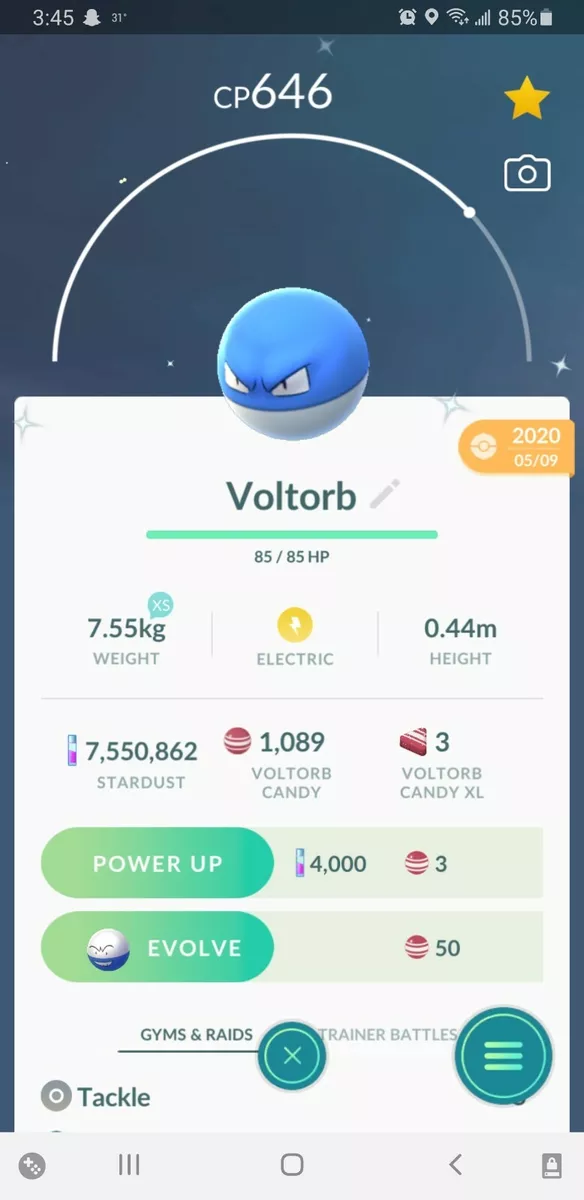 Pokemon Shiny Voltorb 3