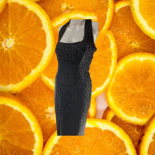 Liz Claiborne Sleeveless Black Lace Dress Size 4