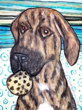 PLOTT HOUND eating Carob Chip Cookies Wall Art 11x14 print by Artist KSams