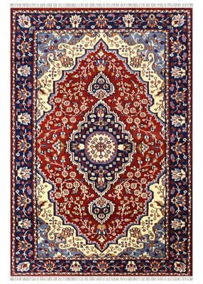Red Parisian Hand Knotted Rug Living Room Carpet Semi-Antique Wool Area Rugs 4x6