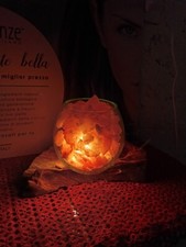 LAMPADA DI SALE ROSA DELL'  HIMALAYA IN VETRO SU LEGNO DI RADICE NATURALE