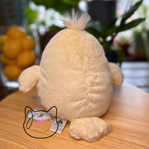 AUTHENTIC Jellycat DELIA DUCK New BNWT Soft Plush Bird Spring