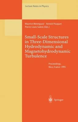 Kleinbauwerke in dreidimensionaler hydrodynamischer und... - 9783662140246