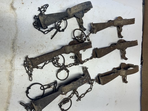 6 Used Victor Single Long Spring Traps | eBay