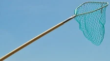 Joy Fish Landing Net 13" X 11" Hoop 4' Wood Handle Green