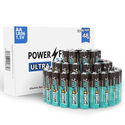 POWER FLASH 48 AA Batteries - Long-Lasting, 10-Year Shelf Life, Leakproof