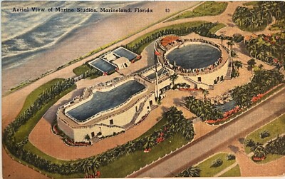 Marineland Florida Aerial View Marine Studios Postcard c1940