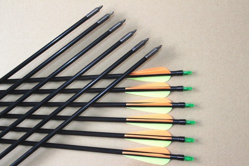 12PCS 31'' Fiberglass Arrows Put on Tips Avoid Crack Safe Compound Recurve Bow - Picture 8 of 8