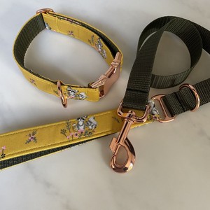 mustard yellow dog collar