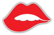 Bite Lips Car Bumper Sticker Decal