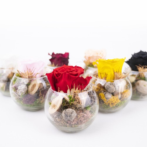 Ewige Rose im Glas Konservierte Rose Bunte Auswahl Rote Rose Rosenbox infinity - Bild 6 von 17