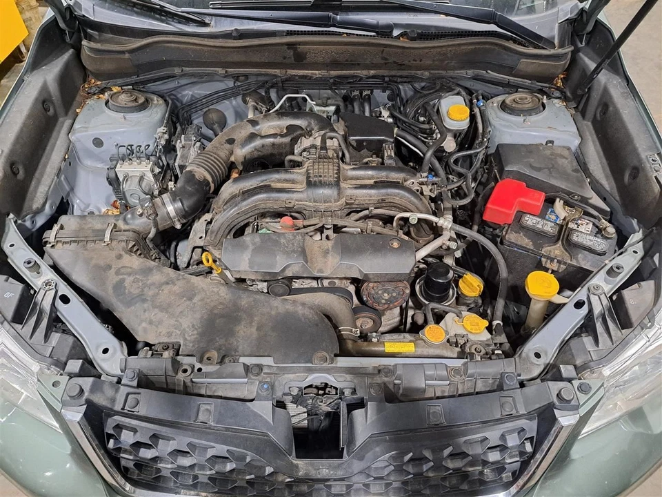 2015 Forester Right Passenger Side Rear Door Assembly Color: Green H5q Foto 3 de 4