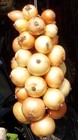 Bild 9 von 11