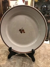 Antique Vintage Cooper Lustre Iron Stone  Plate Alcock  Primative Decor Size 9”