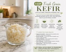 Frozen Probiotic Kefir Matsoni Yogurt Grains ...