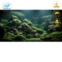 Aquarium Hintergrund Poster 120X50Cm Tropische Fische Wasserpflanzen Unterwasser