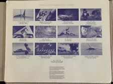 Original 1981 Porsche Factory Art Calendar Composition + 924 Carrera GT Coin