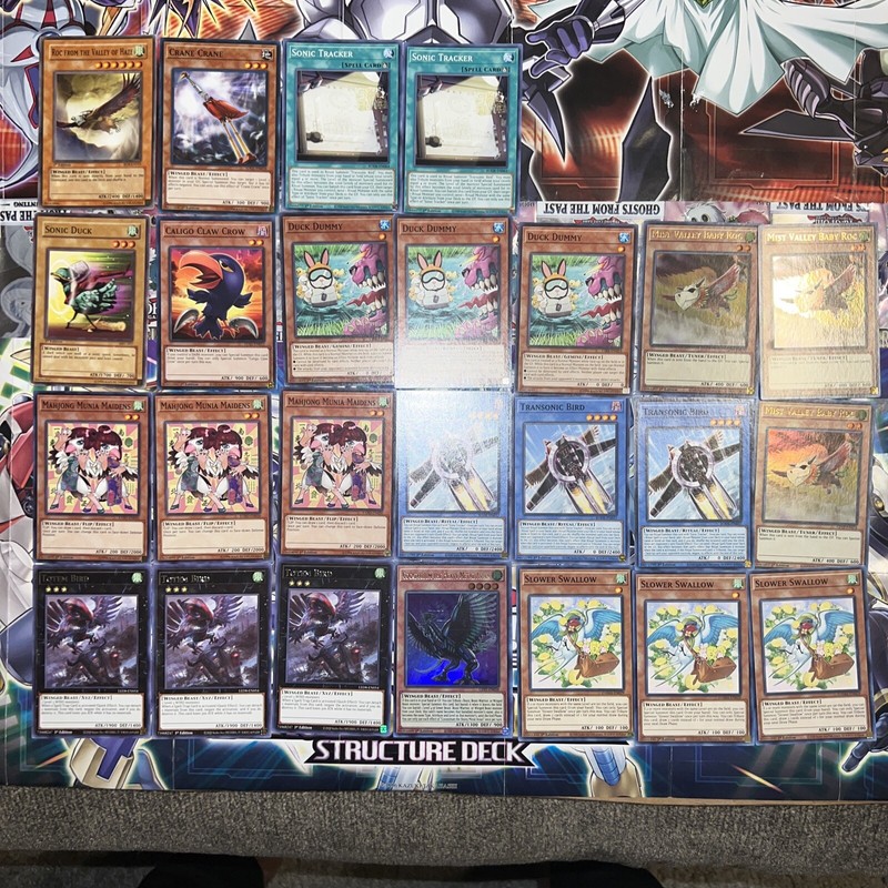 Winged Beast Deck Core Yu-Gi-Oh! 25 Cards