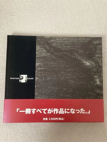 Amano Yoshitaka Art Book Fantasia with Obi Used Light wear