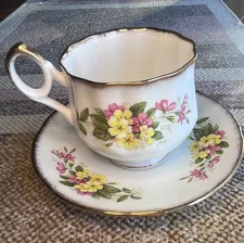 Vintage Queen's Rosina "Wild Flowers" Fine Bone China Teacup and Saucer