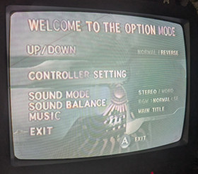 Panzer Dragoon CIB w/ Obi & Poster. Sega Saturn. From Japan. Tested & Working.