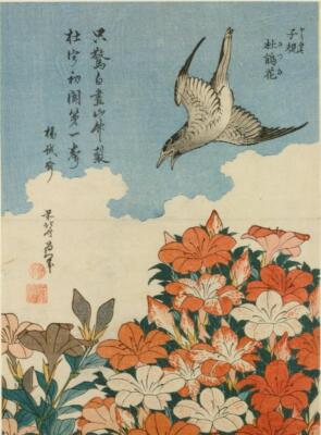 Katsushika Hokusai Cuckoo and Azaleas 1834 17''x 22'' Archival Art Print