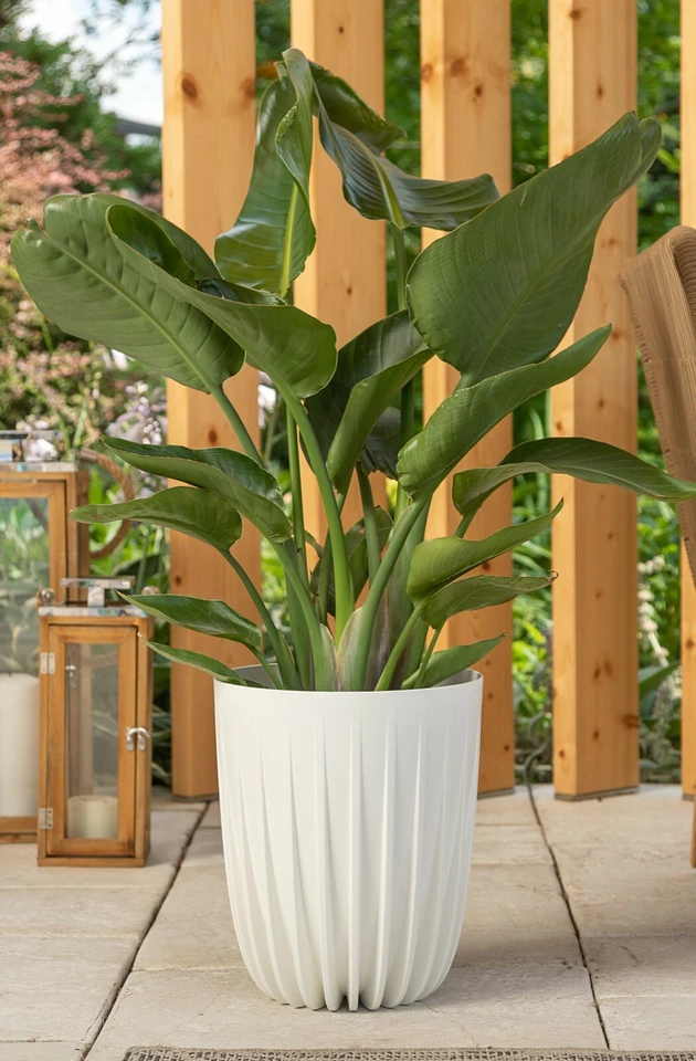 Blumentopf Rund Übertopf Pflanztopf sehr DEKORATIV Struktur 5 Farben 4 Größen - Bild 2 von 4