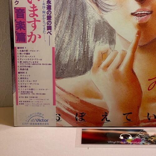 Movie The Super Dimension Fortress Macross: Do You Remember Love? — Original LP - Picture 3 of 15