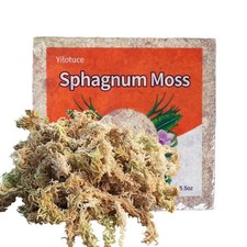155g Sphaigne pour Plantes, Premium Compressé Sphaigne pour Orchidées