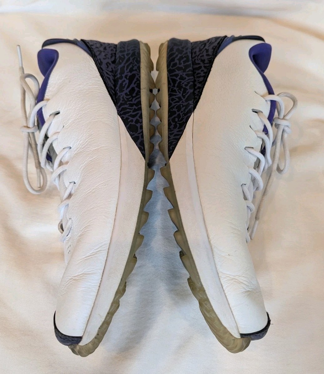 Nike Air Jordan ADG  display picture 3