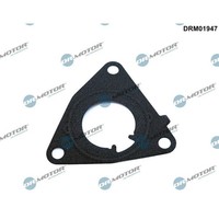 Dr.Motor Automotive DRM01947 Dichtung, Unterdruckpumpe