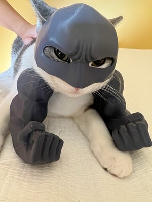 3D printed Bat Cat Mask & Hulk Arm