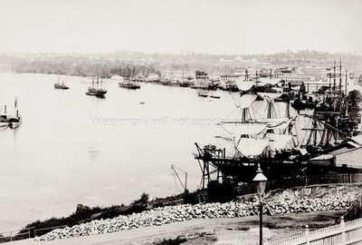 Brisbane Queensland Wharves Harbour Port Sailing Ships Docks Vtg. Photo 19thC.