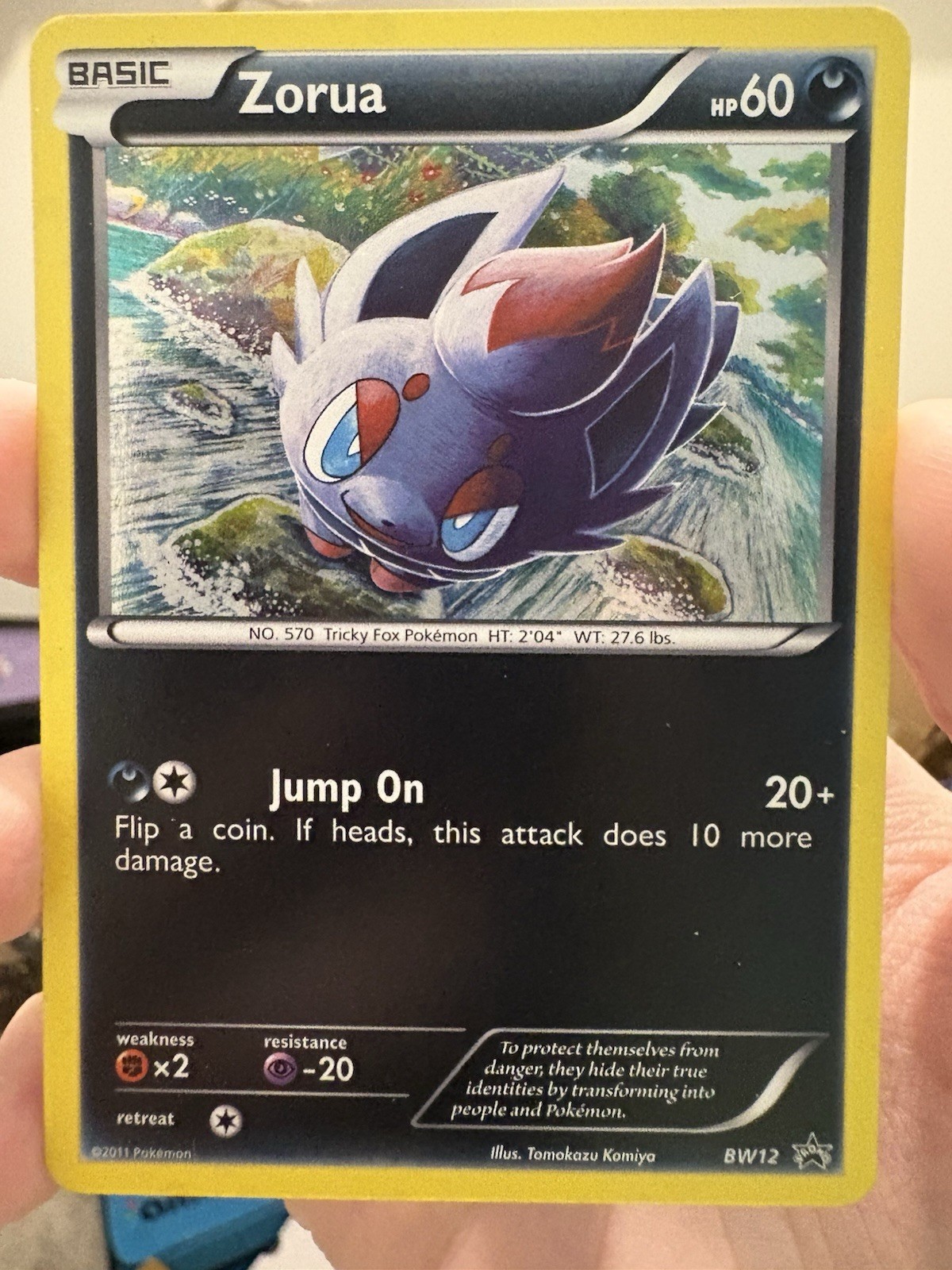 Zorua BW12 Black & White Holo NM/LP