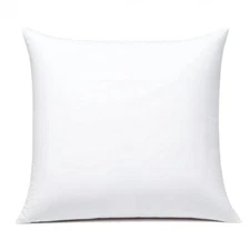  Throw Pillow Inserts Hypoallergenic Premium Pillow Stuffer 20 x 20 Inches
