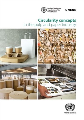 Circularity Concepts in the Pulp and Paper Industry by United Nations PAPERBACK