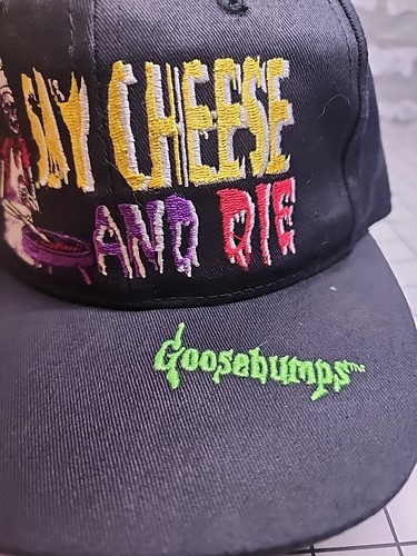 Vintage Goosebumps Say Cheese And Die Adjustable Snapback Hat Youth 1995 Annco - Picture 4 of 10