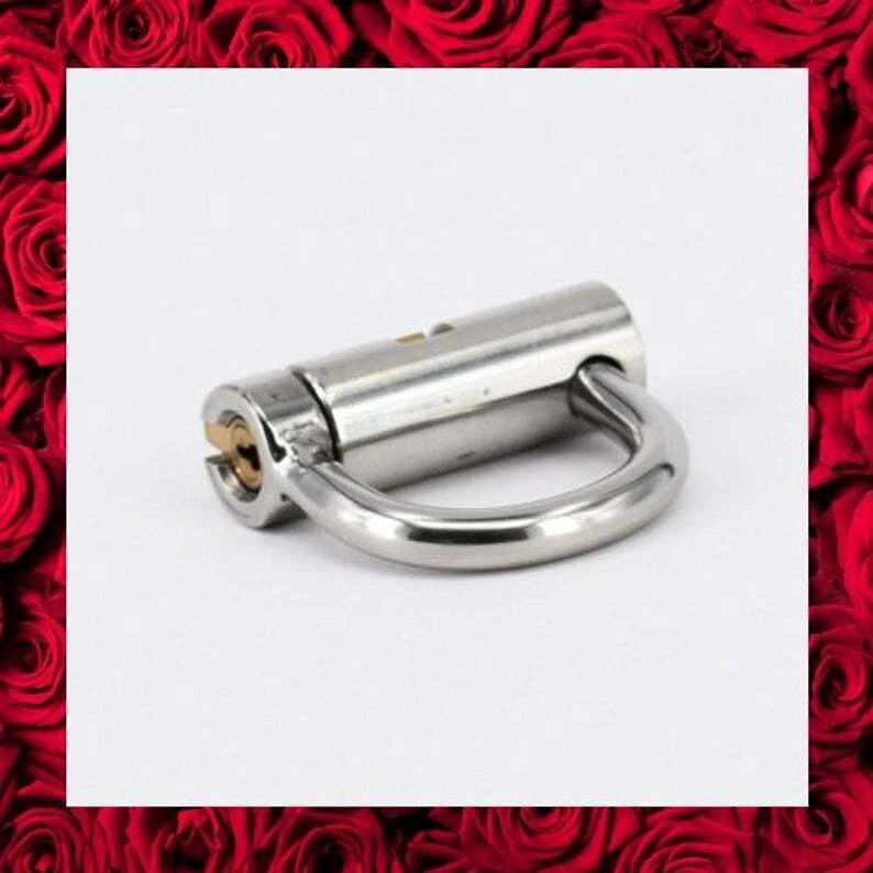 Jaula de castidad macho de acero inoxidable anillo en D bloqueo PA 5 mm sujeción de perforación Foto 2 de 4