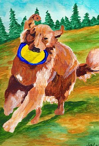 golden retriever frisbee