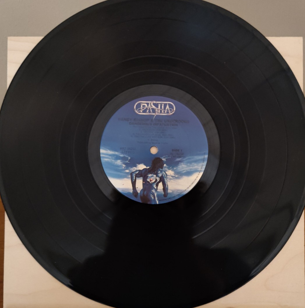 Randy Bishop & The Underdogs DANGEROUS INFATUATION  1982 ARZ 38202 - NM/EX PROMO