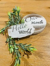 Milestone Discs-Hello World  1 Month to 12 Months - Acrylic baby shower gift