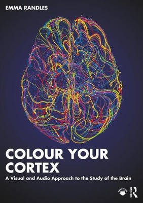 Colour Your Cortex: A Visual and Audio Approach to the Study of the Brain