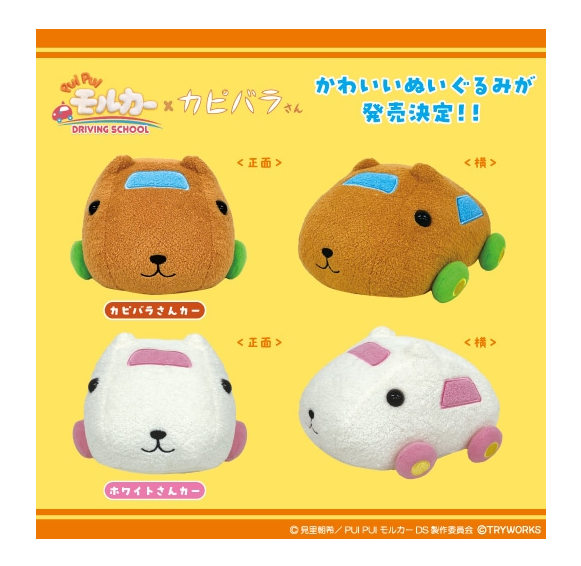 kapibara06 BATH & BODY WORKS CAPYBARA COFFEE BARA POCKETBAC HOLDER HAND